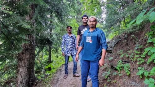 Trekking in the woods at Toabat