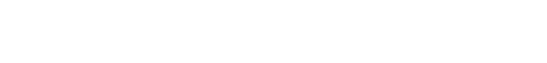  beyond vision logo